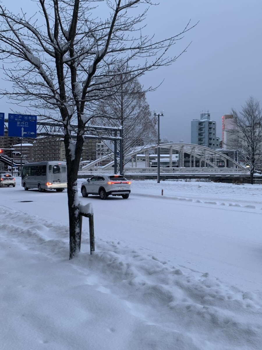 2026年、冬、寒い