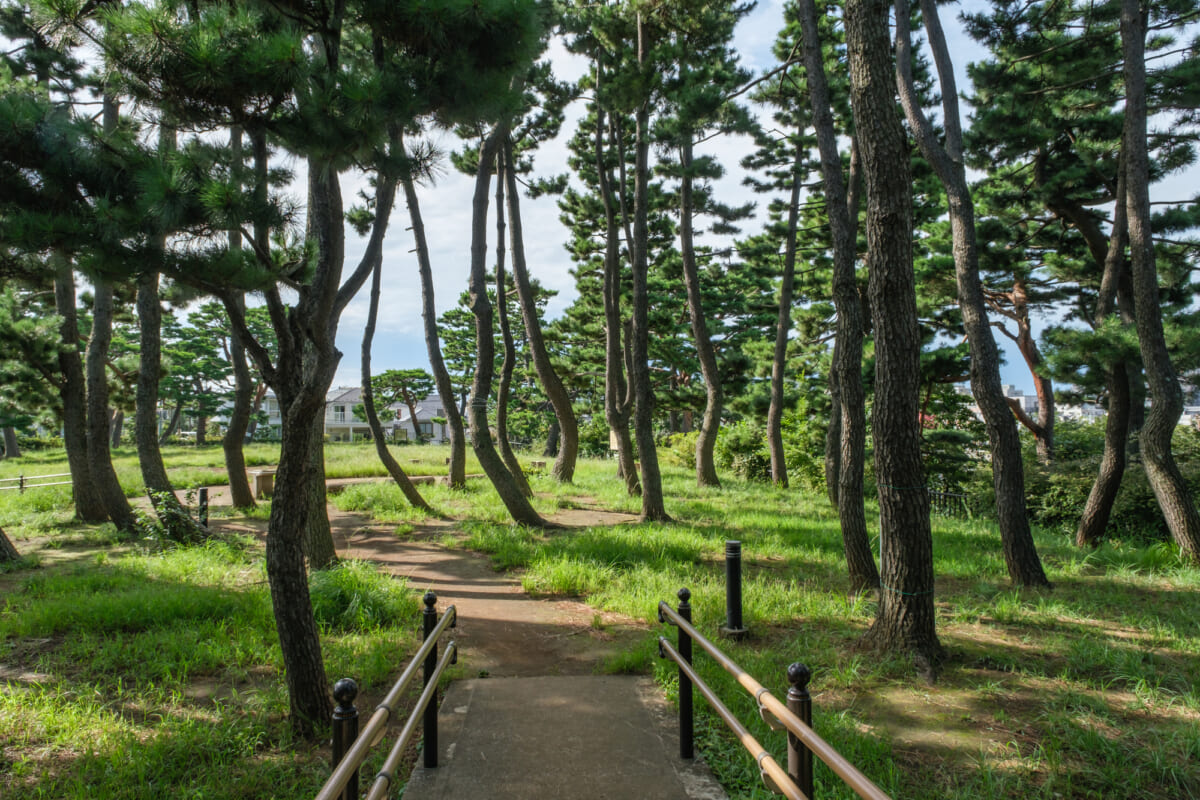 鵜の木松山公園