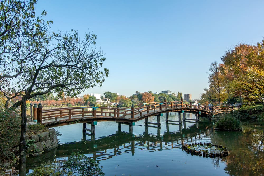 洗足池公園