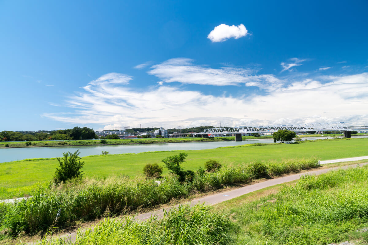 多摩川河川敷(ガス橋緑地)