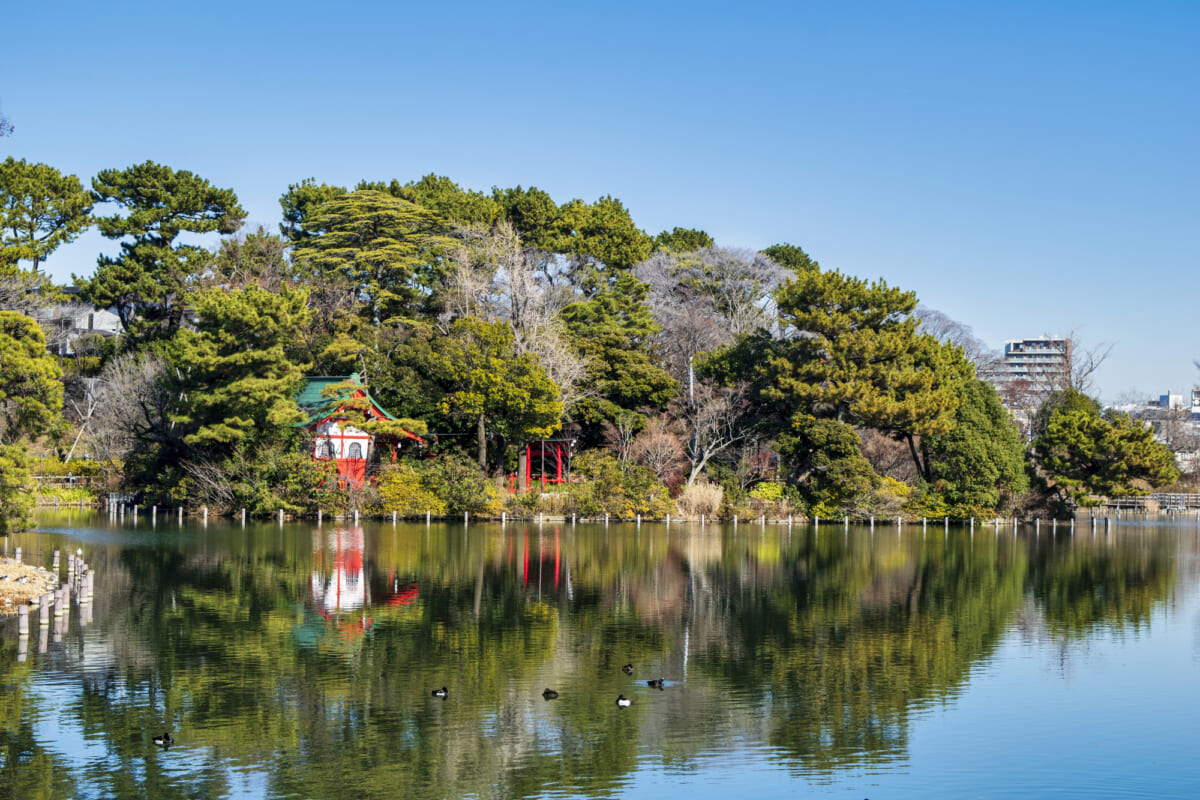 洗足池公園